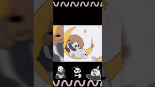 Wallpaper of the panda