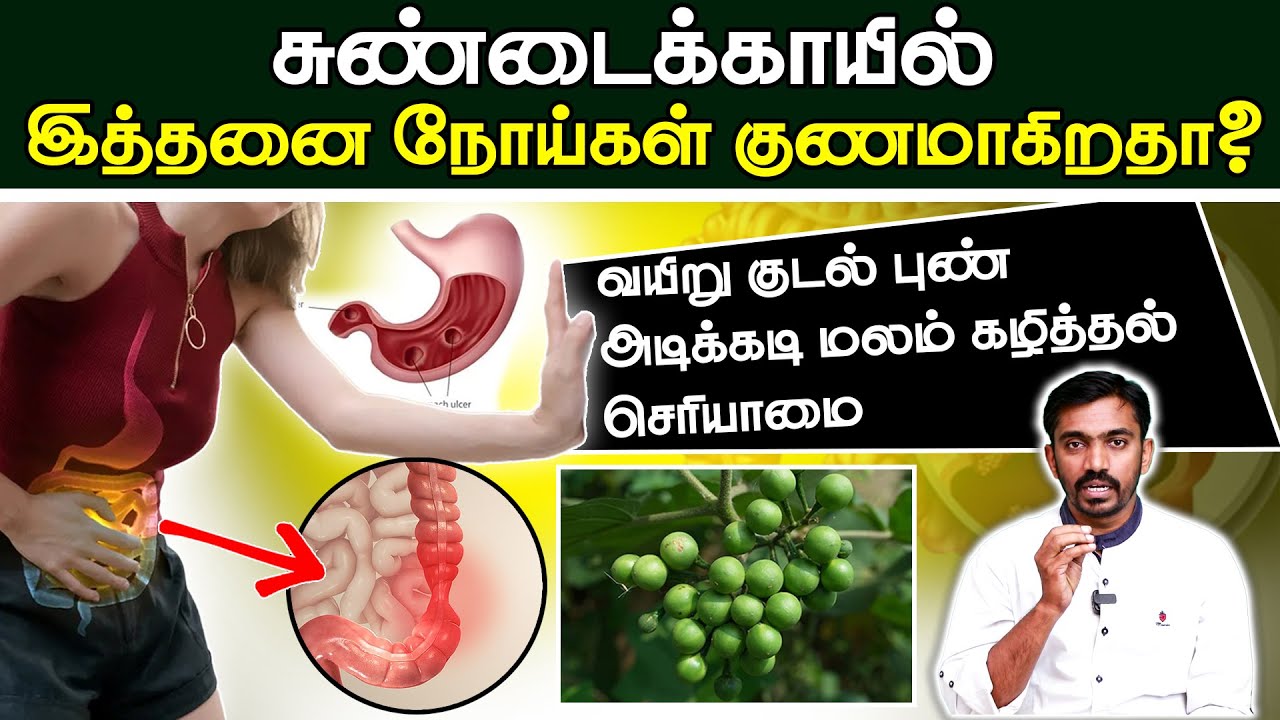 சிறிய காய் ஆனால் மிகப்பெரிய மருத்துவ குணம், தீராத நோய் தீர்க்கும்  காய் CURE IRRITABLE BOWEL