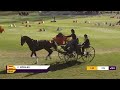 RE-LIVE | Cones - FEI Driving World Championship fro Single Horses