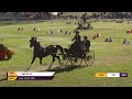 RE-LIVE | Cones - FEI Driving World Championship fro Single Horses