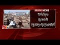 Centre Respond on Mirchi Farmers Problems : Rs 5000 Supporting Price