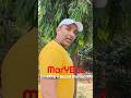 MarYel: Unveiling a Secret Martial Art #Shorts #Bollywood #comedy
