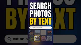 Search your photos by text, free & offline — Google EmbeddingGemma 2