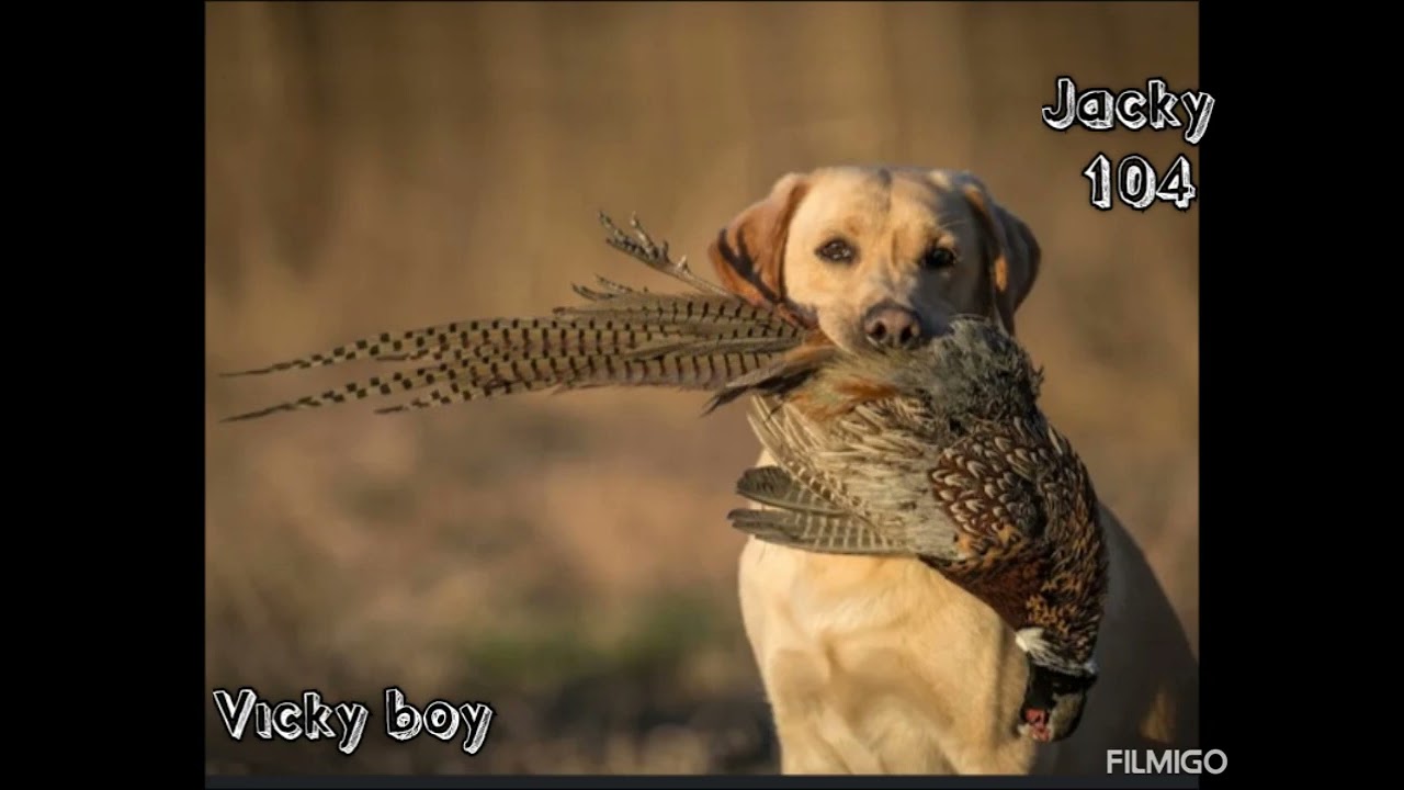 One blood  (ombwa  jomujeve) 2025