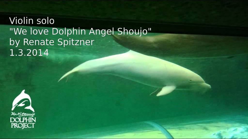 Violin solo 'We love Dolphin Angel Shoujo' by Renate Spitzner