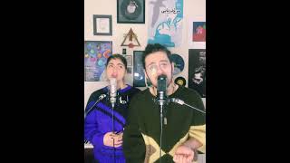 Ashghal - Shervin hajipour (cover). آشغال - شروین حاجی پور