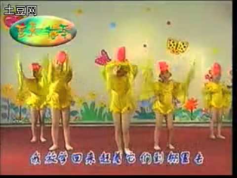 17 小鸭子（娃娃学跳舞）