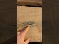 Sawed through a bullet in a log! #sawmill #lumber #treework #woodworking