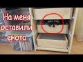 VLOG Почему я расстроилась