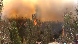 Unas 200 casas destruidas por voraz incendio que continúa activo en Chile | AFP