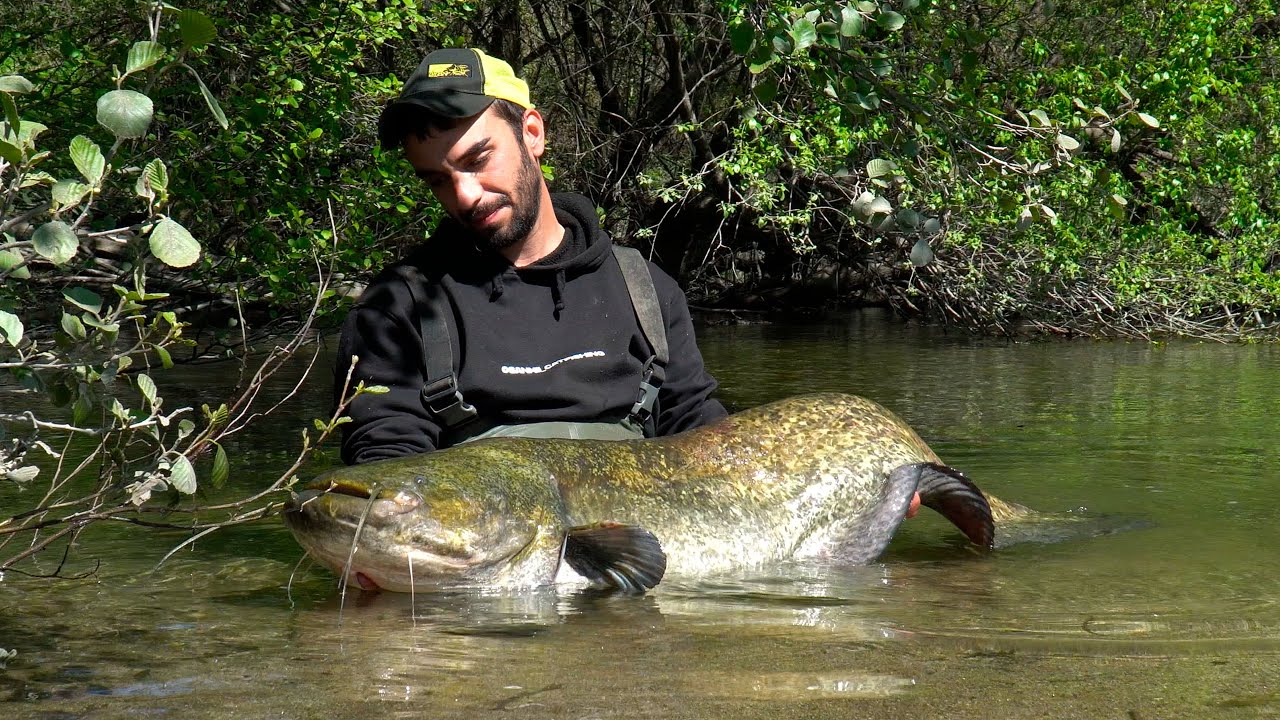 CATFISHING EN SOLITARIO