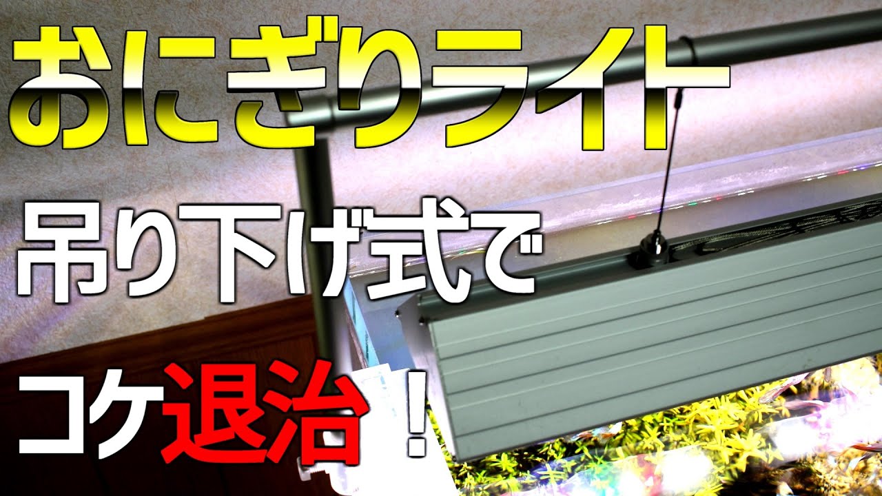 コケを駆除するために照明を吊り下げ式に コケ取り生体も導入 33 アクアリウム Youtube