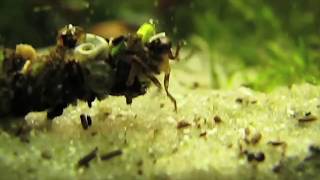 How Weather Affects Fly Fishing
