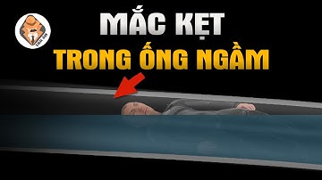 5 Người Bị Hút Vào Đường Ống Ngầm Dưới Biển - Sự Cố Đường Ống Dẫn Dầu Paria - Tra Án