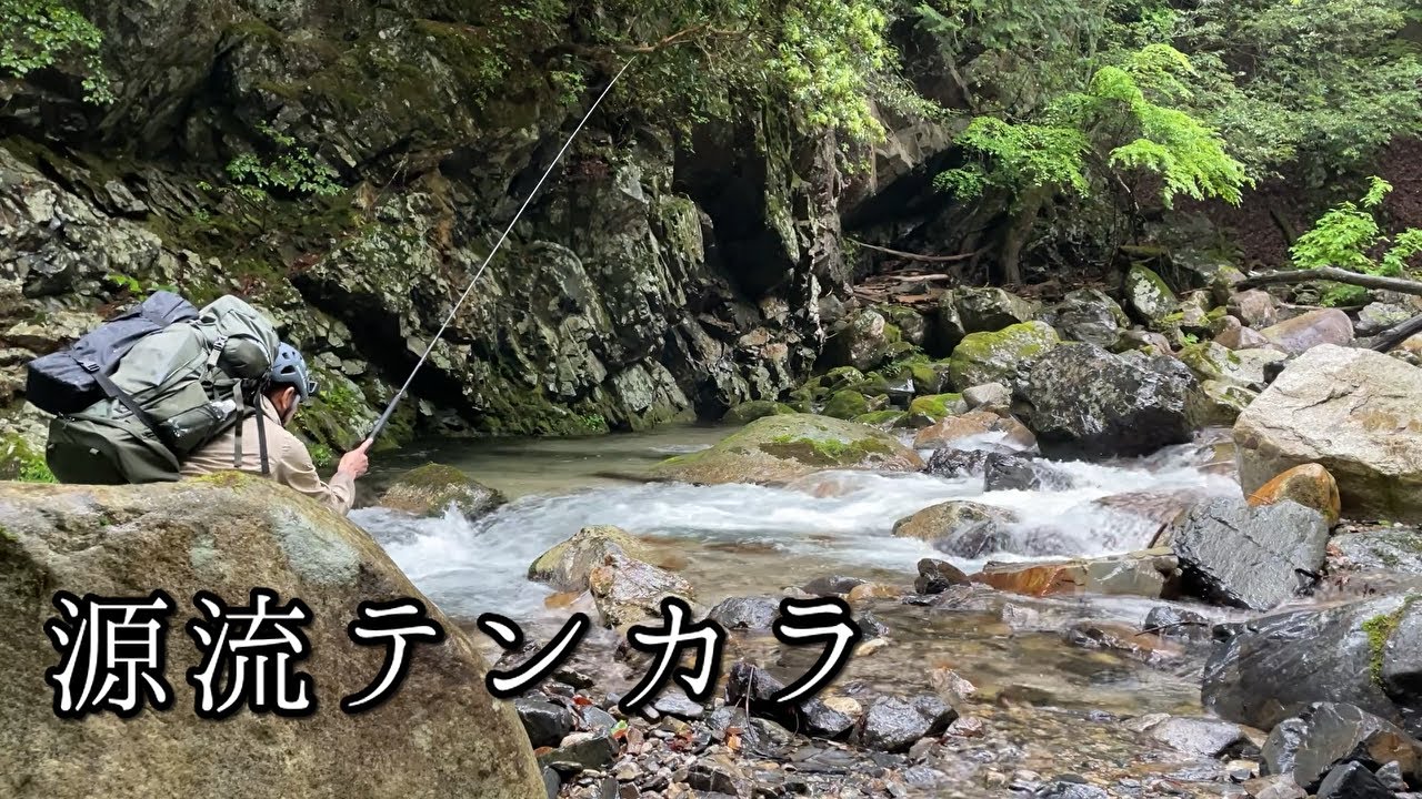 滋賀の秘境で天然イワナを釣る【源流テンカラ】