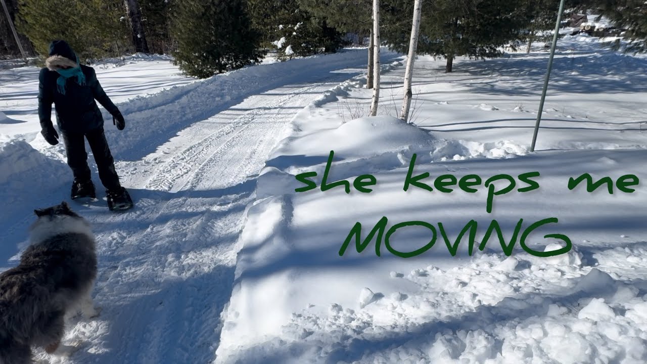 Coping with Cabin Fever: A Woman & Her Dog’s Adventures 