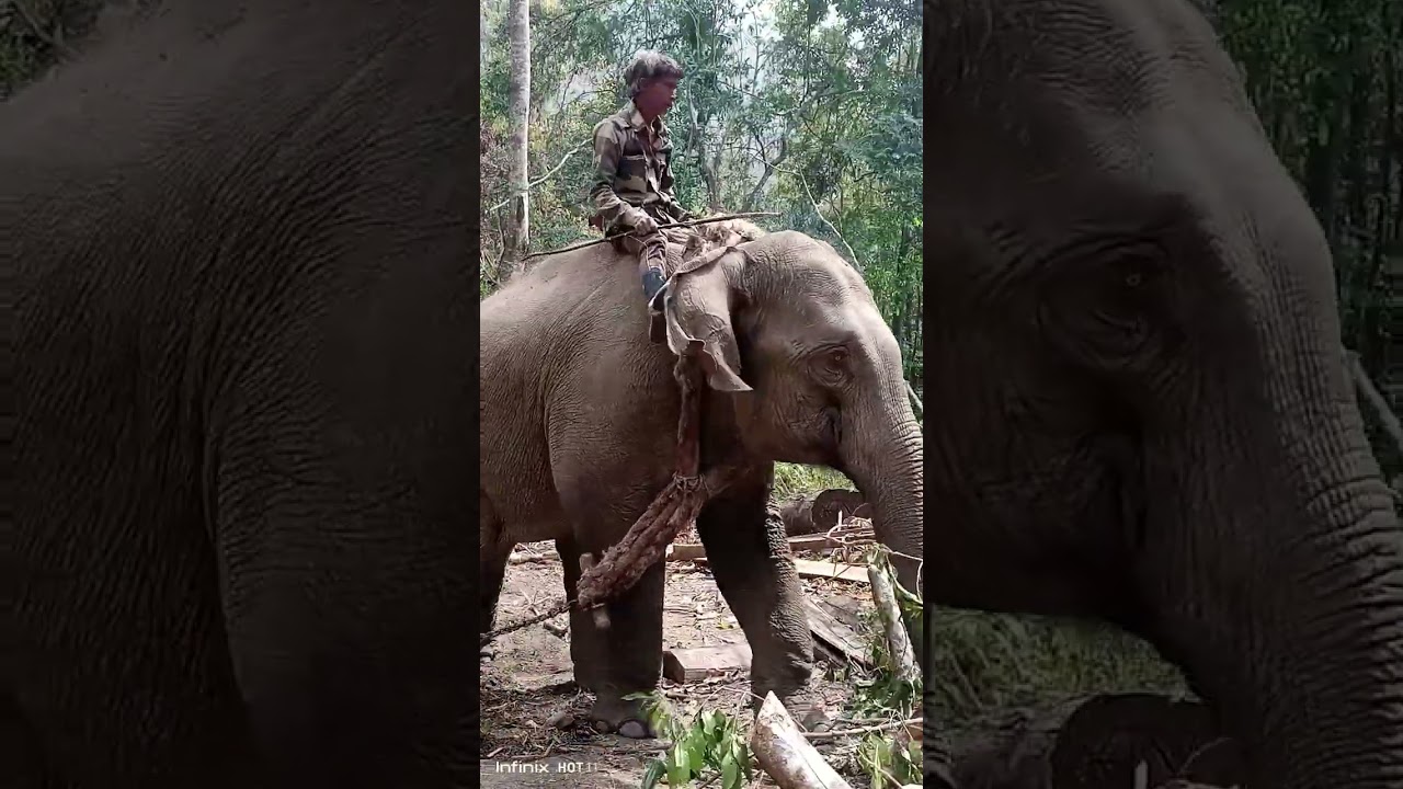 Ami ki kure de khai thakibo di view