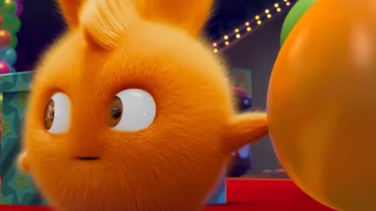 Cartoon ★ Sunny Bunnies ★ 1 HOUR COMPILATION ★ Cartoons for Children