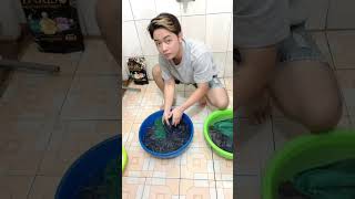 Cách trị ck tim ảnh gái trên facebok.😡😡#haihuoc #giadinh #cungkunlamviectotmoingay