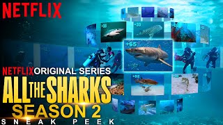 All the Sharks Season 2 Sneak Peek | All the Sharks | SEASON 2 | Netflix