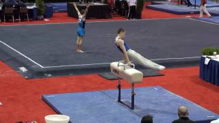 David Frankl on Pommel Horse