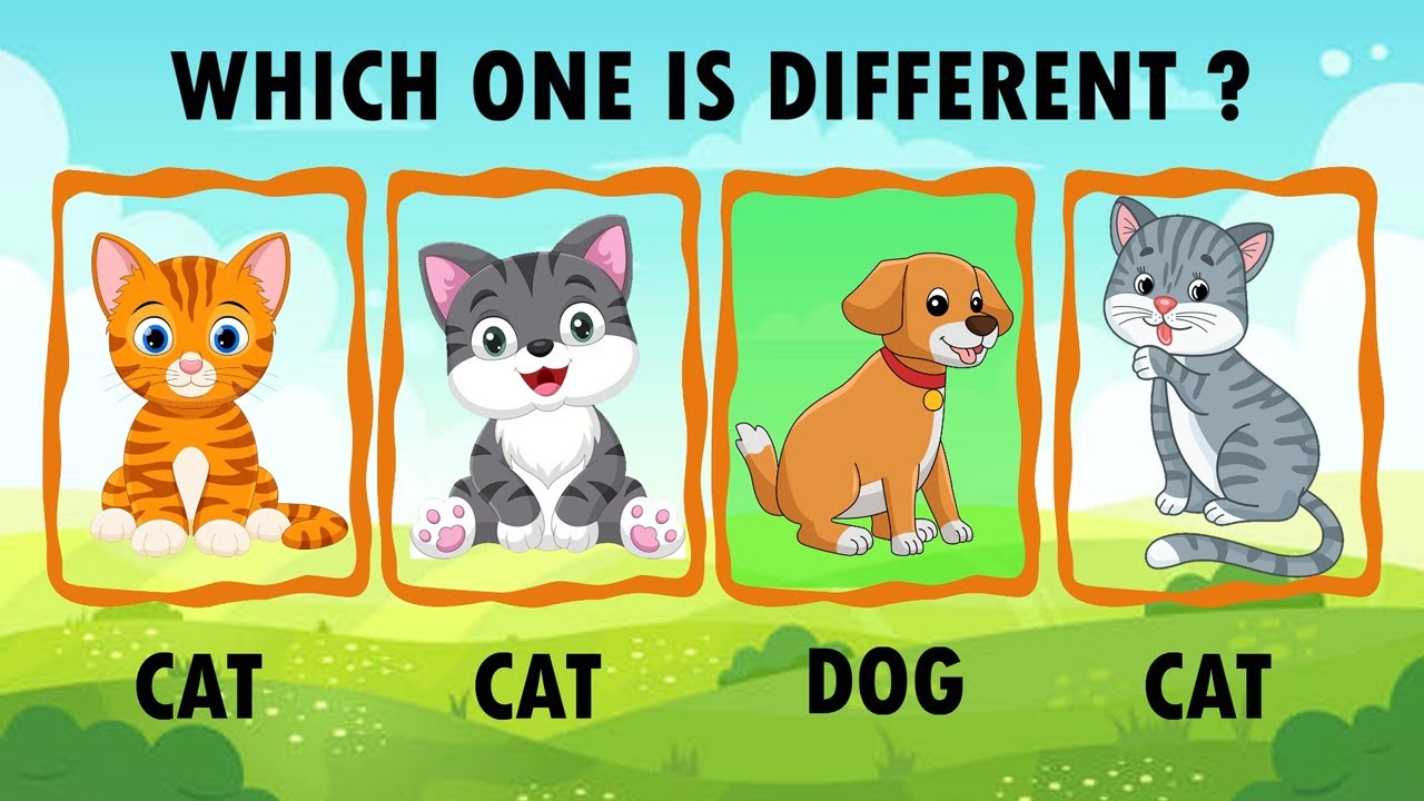 Kids IQ General Knowledge Questions Kids Quiz Game Learning Video Kids iq general knowledge questions kids quiz game learning video
