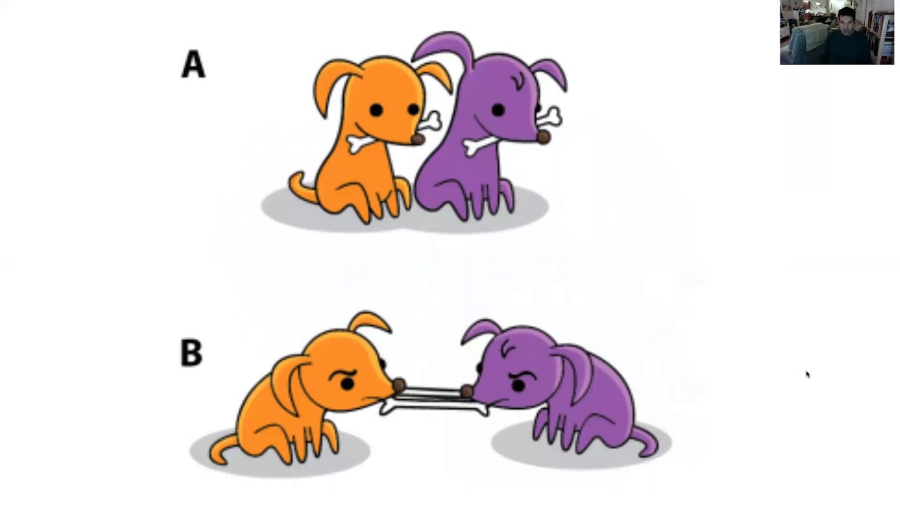 CP Chemistry Intro to Covalent Molecules
