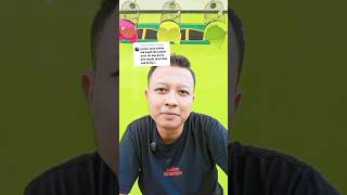 CEK DI BERANDA YOUTUBE SAYA YA MAS UNTUK RAWATAN PLECI #terapipleci #pancinganpleci #birds