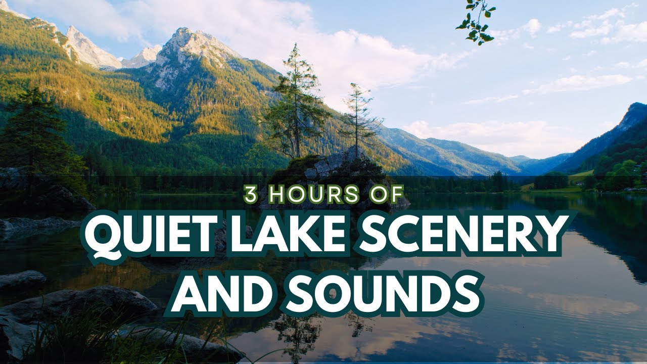 3 Hours of Tranquil Lake Sounds | Relax with Nature's Melody: Water, Birds, and Soft Wind
