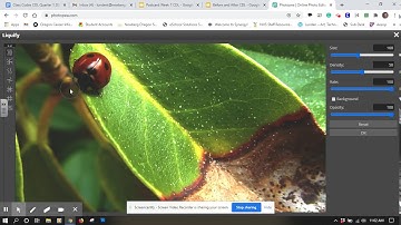Filters with Photopea