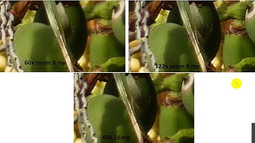 Does the 122x Extended Optical Zoom Zoom of the Panasonic Lumix FZ80 / FZ82 Really Work?