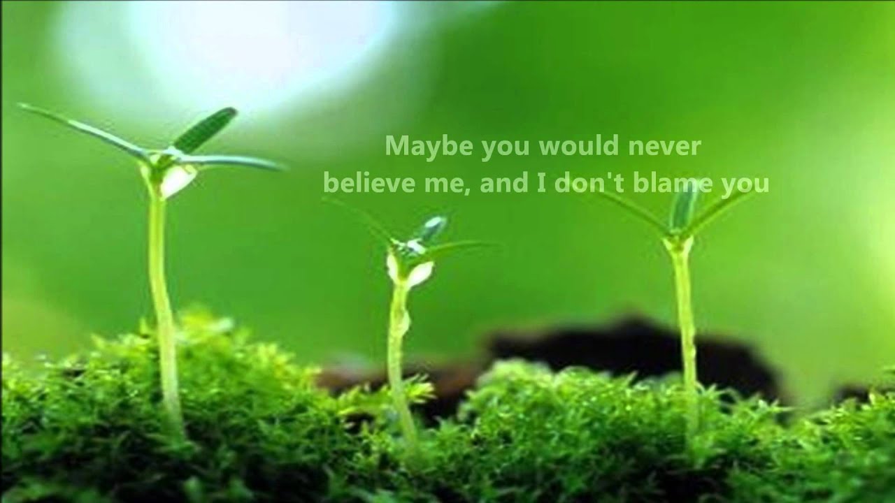 Randy Goodrum - Love w/ lyrics