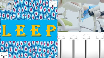 Loop Electrosurgical Excision Procedure (LEEP) | Management of Cervical Intraepithelial Neoplasia