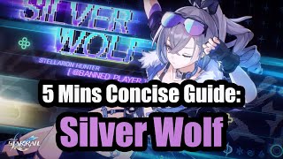 5 Mins Concise Guide Silver Wolf Honkai Star Rail