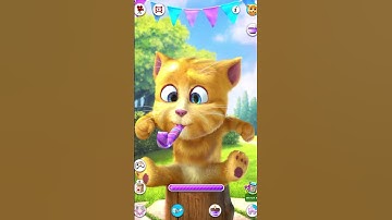 Con mèo biết nói #shorts