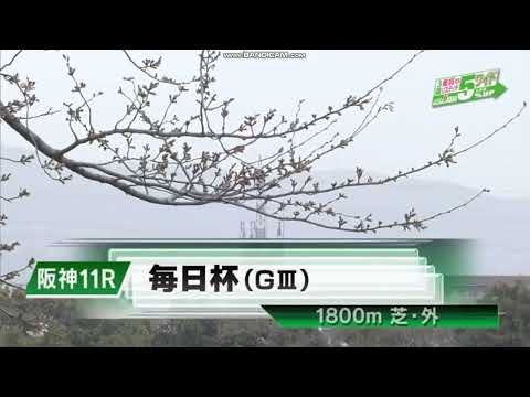 2023年 毎日杯（GIII）ファンファーレ
