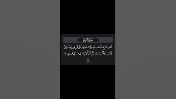 #القارئ #ماهر_المعيقلي سورة الزمر ( آية ٢٢ )