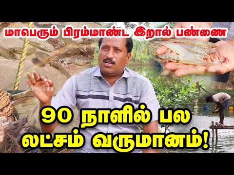 இறால் வளர்ப்பு - மாதம் பல லட்சம் வருமானம் | 1 ஏக்கரில் தொடங்கி 15 ஏக்கரில் பிரம்மாண்ட பண்ணை ! Prawn