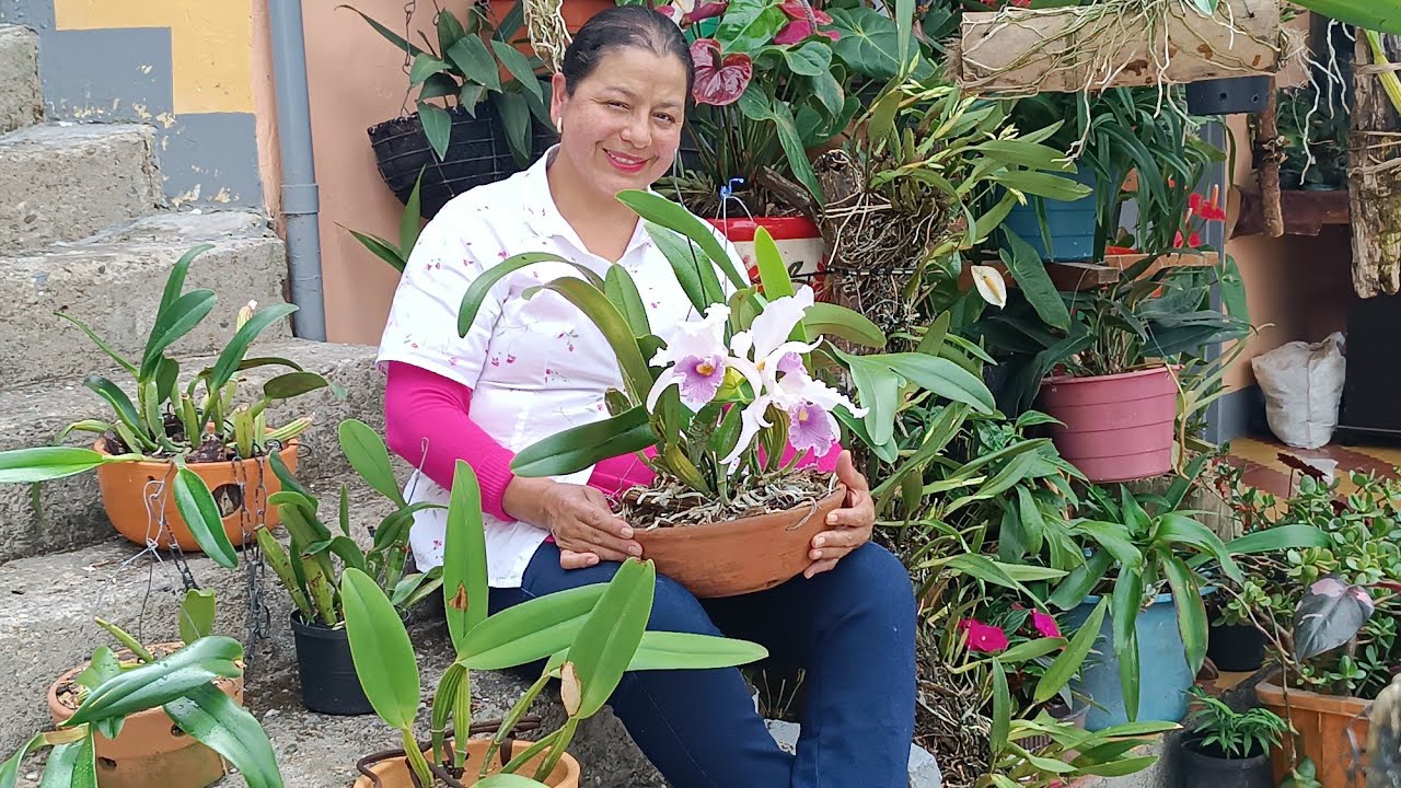 Trucos que Mejoran y Ayudan a Nuestras Orquídeas 🏵️😃🌸🌿