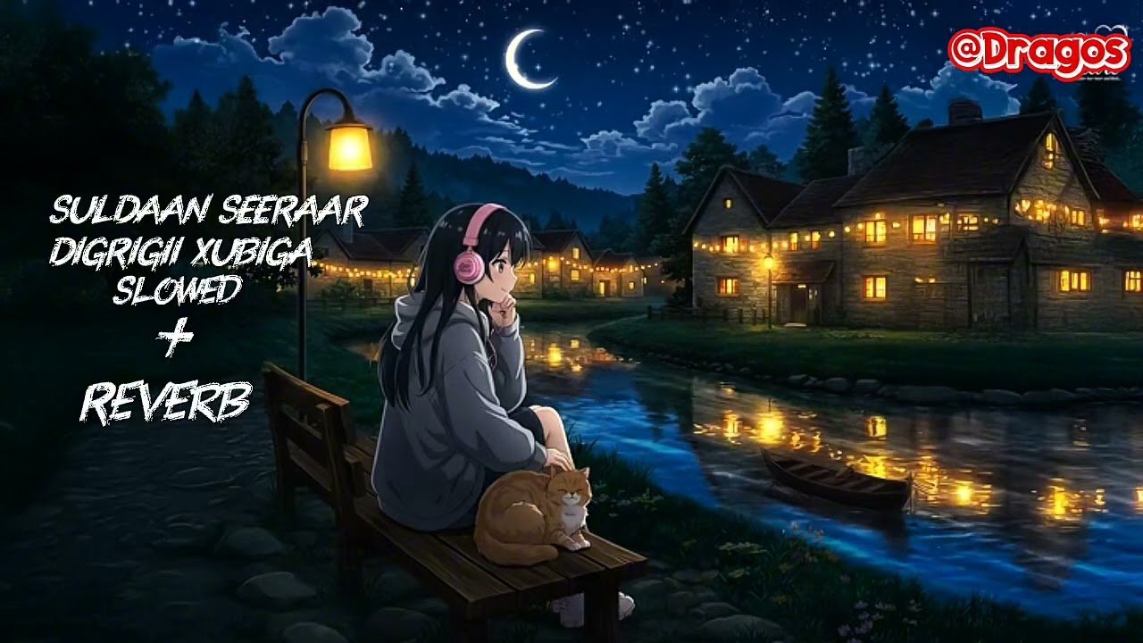 SULDAAN SEERAAR - DIGRIGII XUBIGA - SLOWED + REVERB