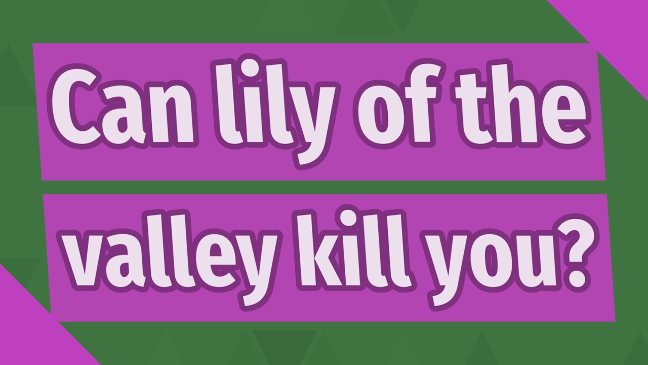 Can Lily Of The Valley Kill You
