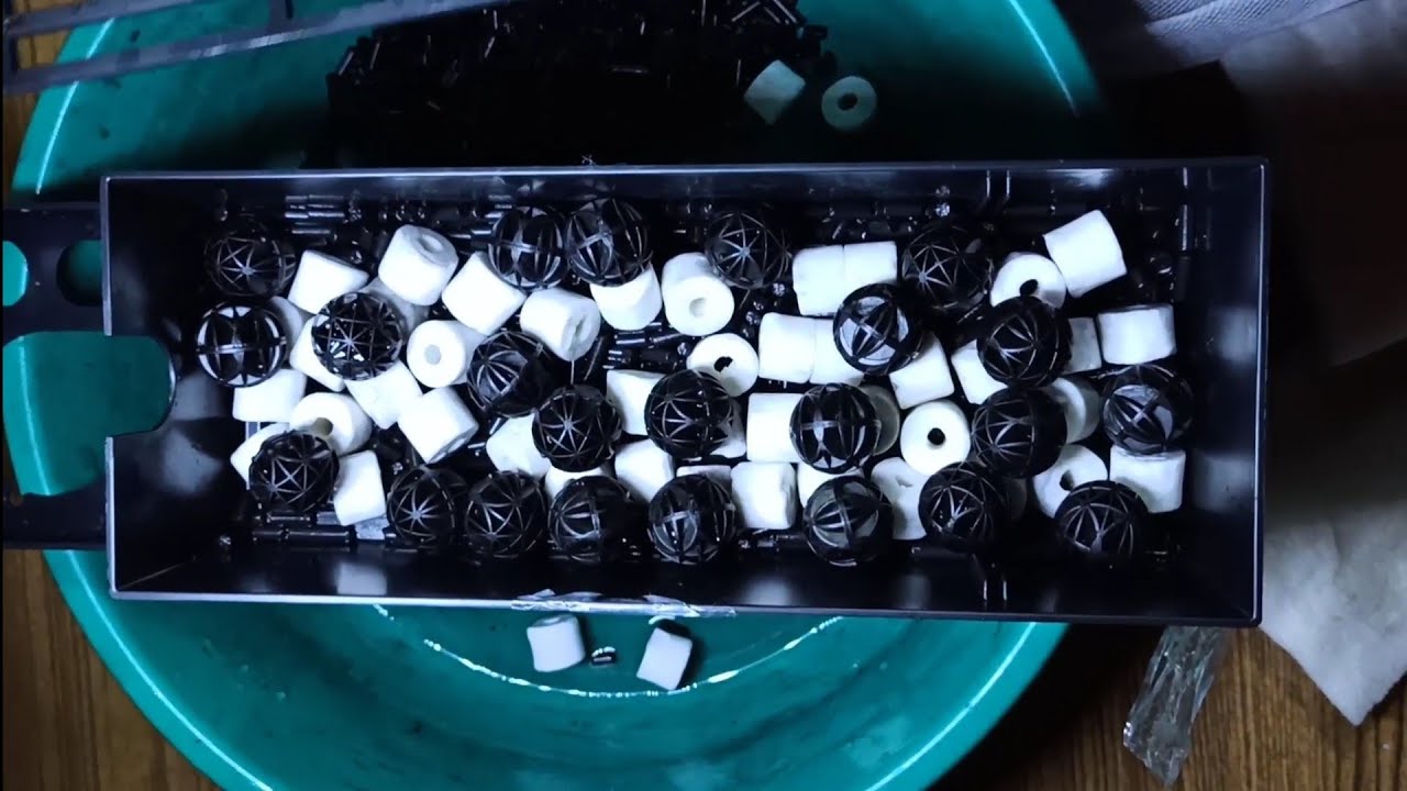 How to Fill Filter Media in Overhead Aquarium Filter Setup Filter