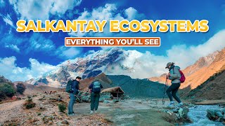 ¿WHAT ECOSYSTEMS DOES THE SALKANTAY TREK PASS THROUGH?