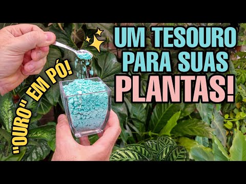 Vídeo: De quais plantas os ácaros gostam?