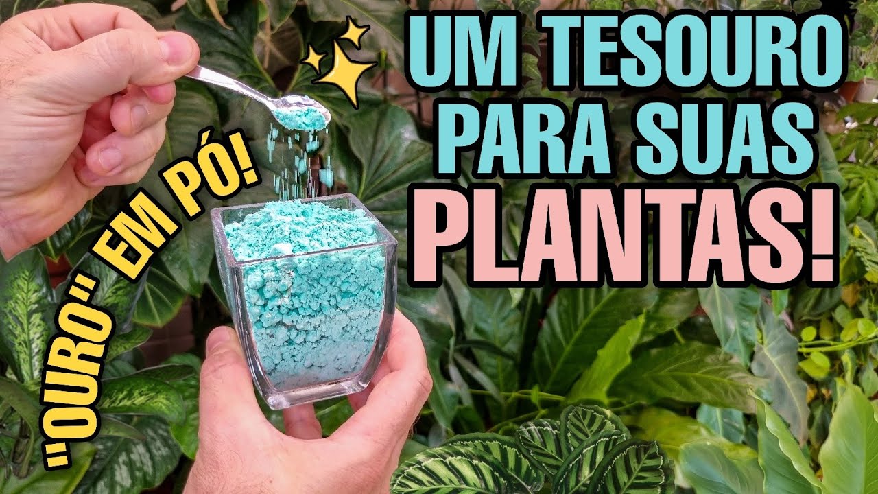 ACABE COM FUNGOS E ÁCAROS  NAS SUAS PLANTAS -  Jardim - Pragas - Suculentas