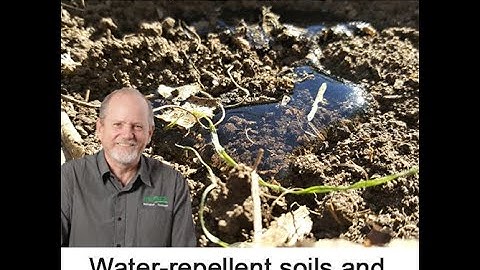 Neutrog TV | What are water repellent soils and how to improve them?