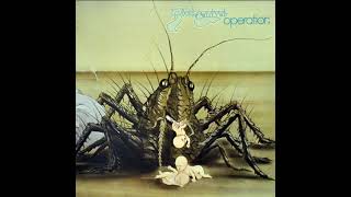 Birth Control - The Work Is Done