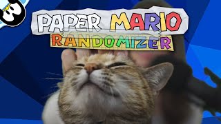 My cat rolled this rando seed - Paper Mario Randomizer
