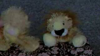 Webkinz: Aslan and Nala's News and Weather Report Show: 1