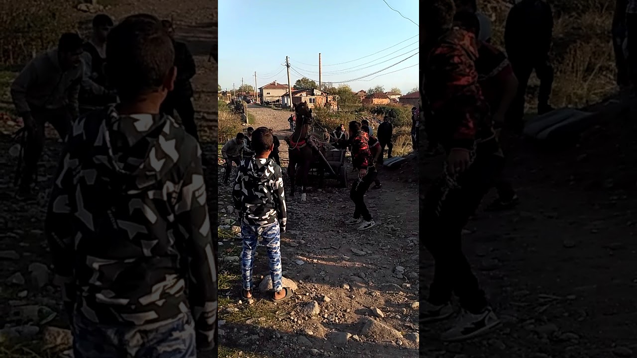 конете на Кърнаре (2)